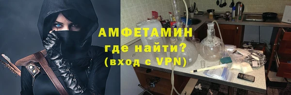 стаф Нея