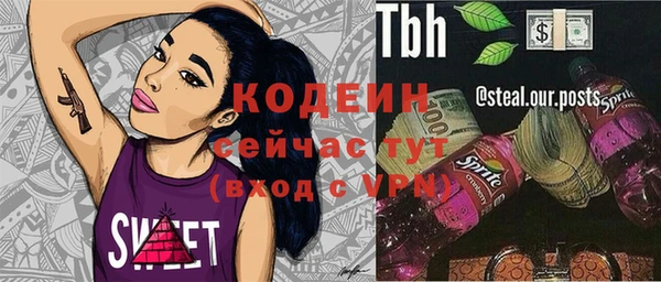 стаф Нея