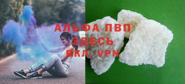 стаф Нея